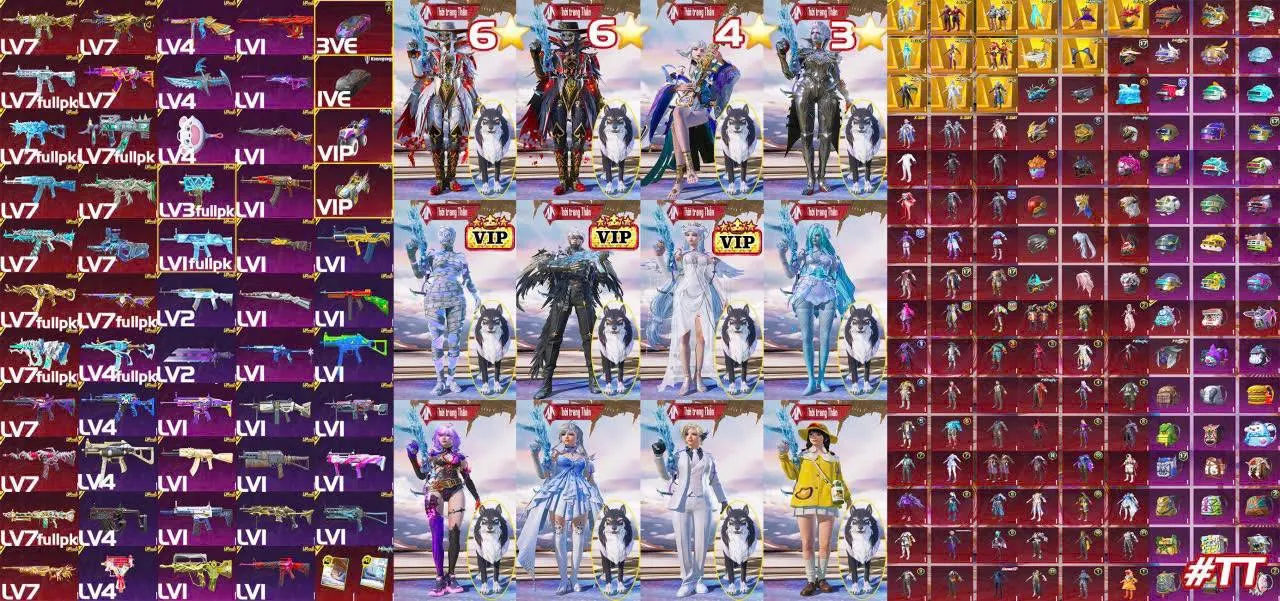 TVT